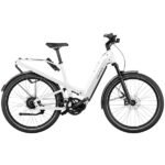 Riese & Müller Homage4 GT Vario 2024