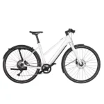 Riese & Müller Ubn Seven Touring 2023