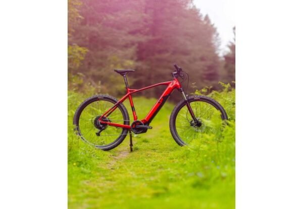 VTT électrique R RAYMON HardRay E 4.0 2022 – Image 4