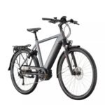 Victoria e-Trekking 12.6 Diamant