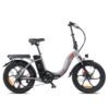 Fafrees F20 250W 20" Vélo électrique Pliant - Gris