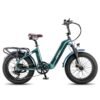 Fafrees F20 Master 500W 20" Fat Bike VTC électrique - Vert