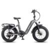 Fafrees F20 Master 500W 20" Fat Bike VTC électrique - Gris