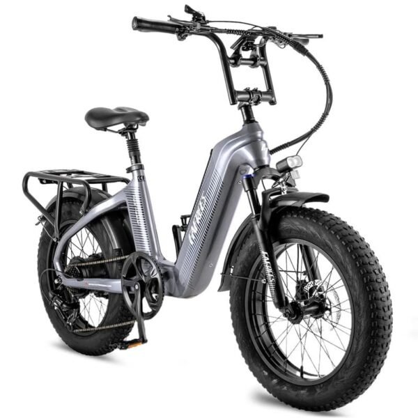Fafrees F20 Master 500W 20" Fat Bike VTC électrique – Image 8