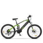 VTC électrique Argento Performance Pro