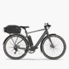Fiido E-Gravel C21 vélo électrique - Gris