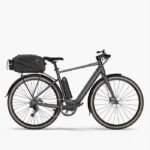 Fiido E-Gravel C21 vélo électrique