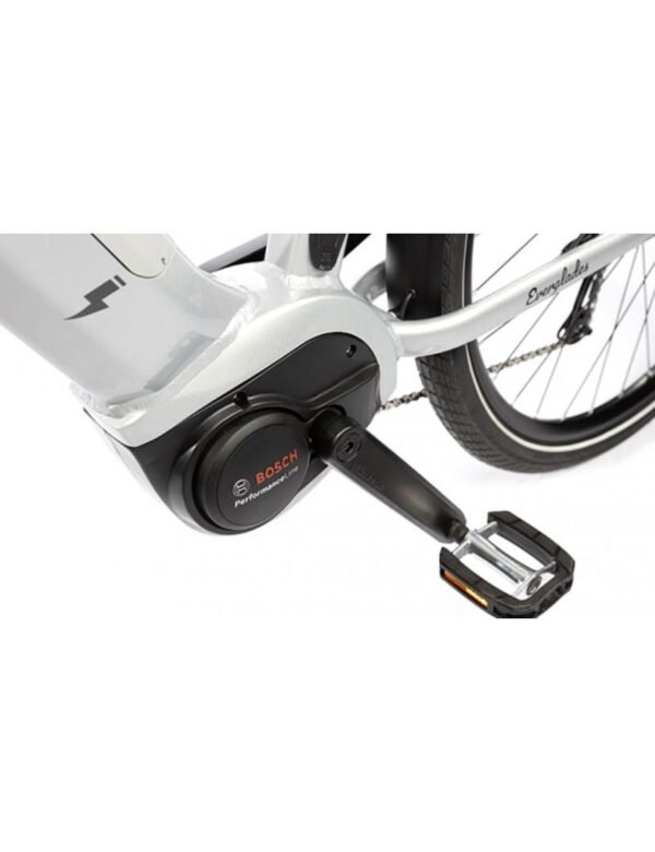 VTC Électrique T-BIRD EVERGLADES 2024 – Image 3
