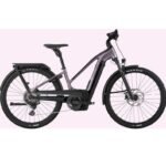 Cannondale Tesoro Neo X 1 StepThru