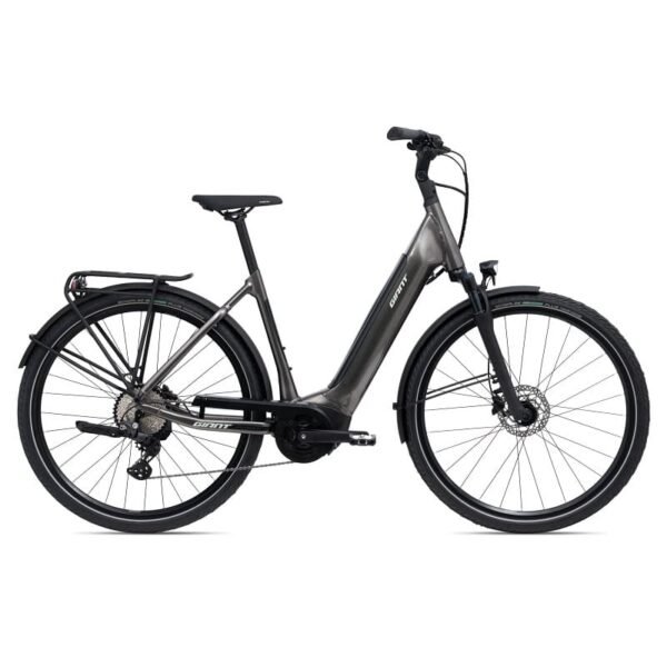 Giant DailyTour E+ 2 D LDS (RideDash Evo)