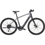 Trek Dual Sport+ 2 Shimano Altus 9V 250 Wh 650 mm Gris 2023