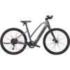 Trek Dual Sport+ 2 Stagger Shimano Altus 9V 250 Wh 650 mm 2023 - Gris