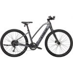 Trek Dual Sport+ 2 Stagger Shimano Altus 9V 250 Wh 650 mm 2023